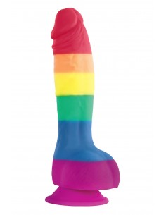 COLOURS PRIDE EDITION 6INCH...